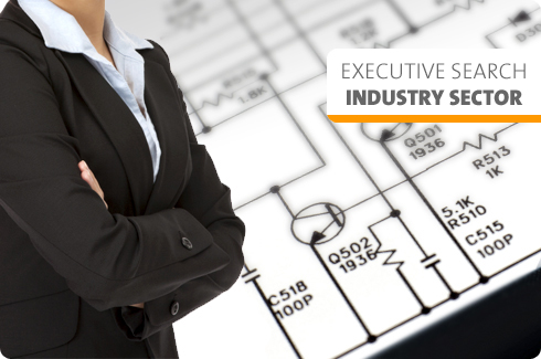 EXECUTIVE SEARCH INDUSTRY SECTOR
